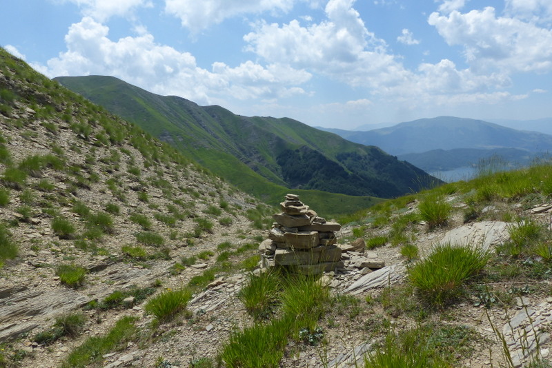 Monte Doro e Cima della Laghetta, le orchidee e i loro ambienti - luglio 2025.